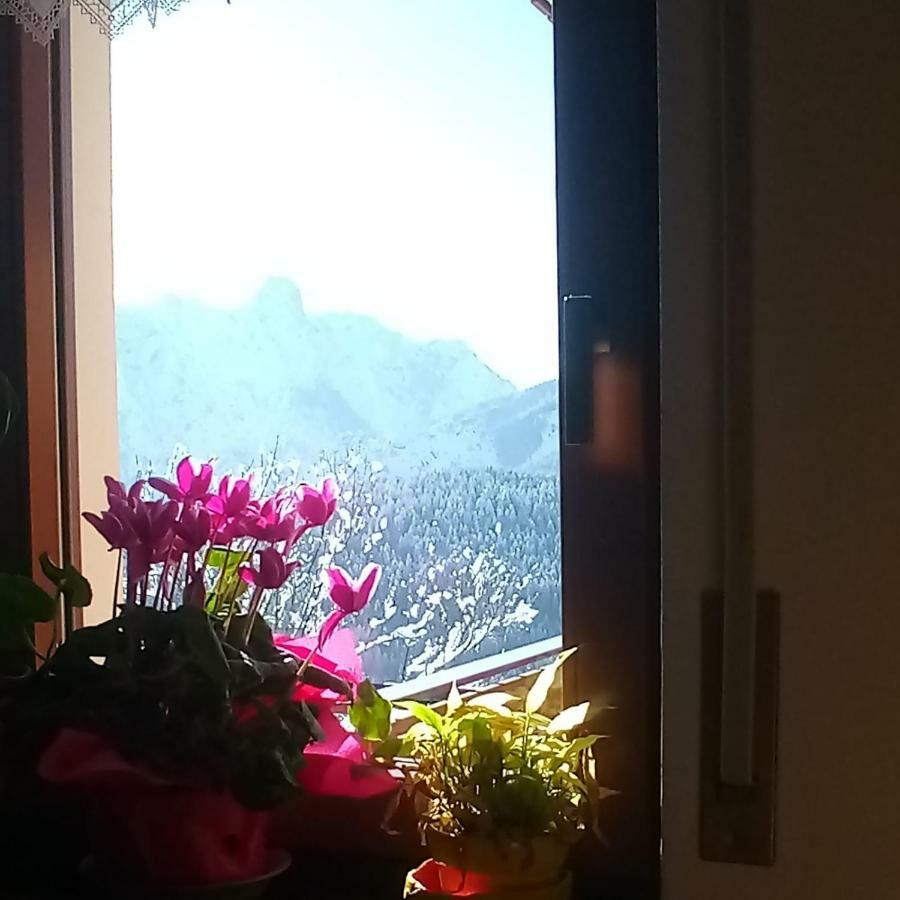 Da Nicola E Laura Apartment Santo Stefano Di Cadore Exterior photo
